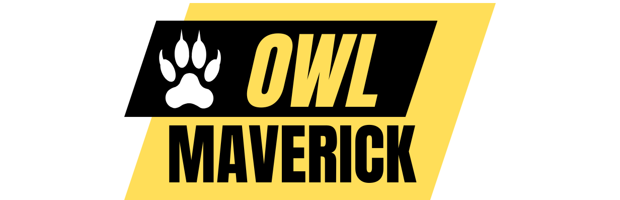 Owl Maverick
