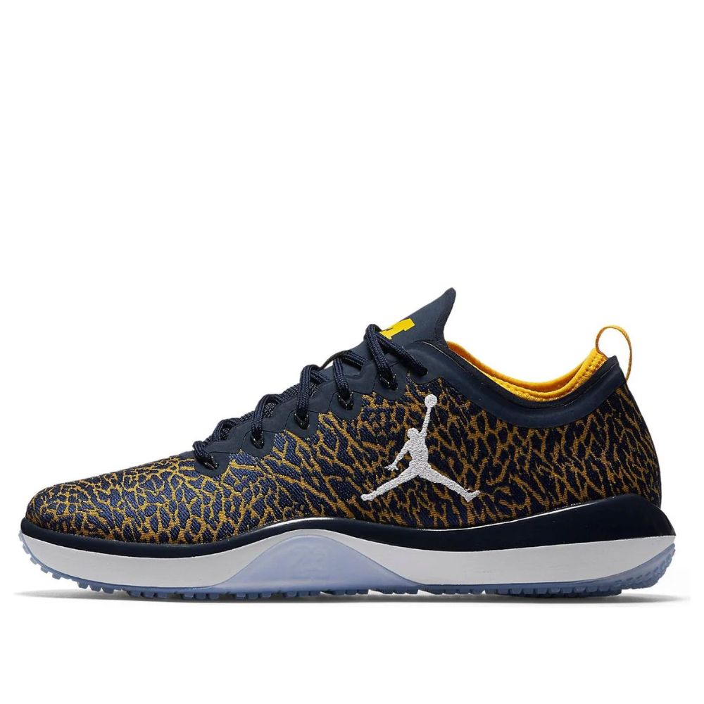 Jordan Trainer 1 Low Michigan (845403-420) Lifestyle Sneakers